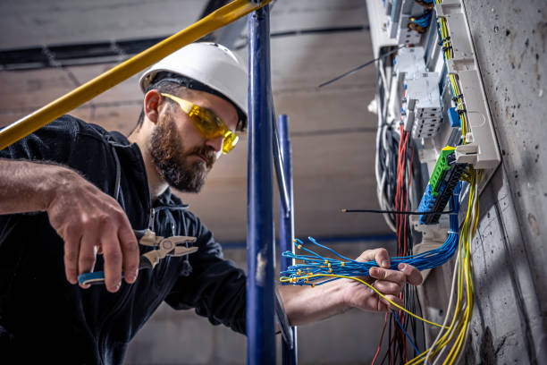 Best Electric Panel Repair  in Pittsburg, TX
